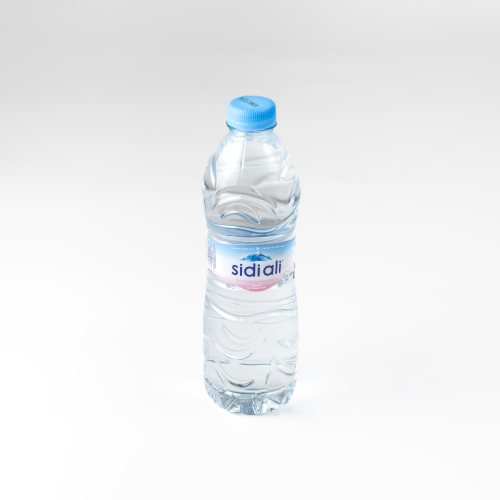  EAUX MINERALES 0.5 L 