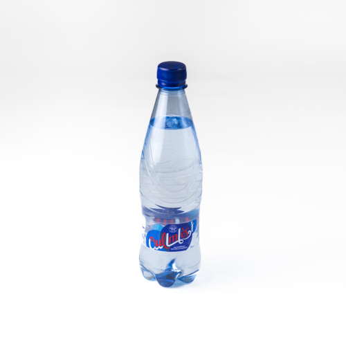  EAUX MINERALES 0.5 L GAZEUSES 