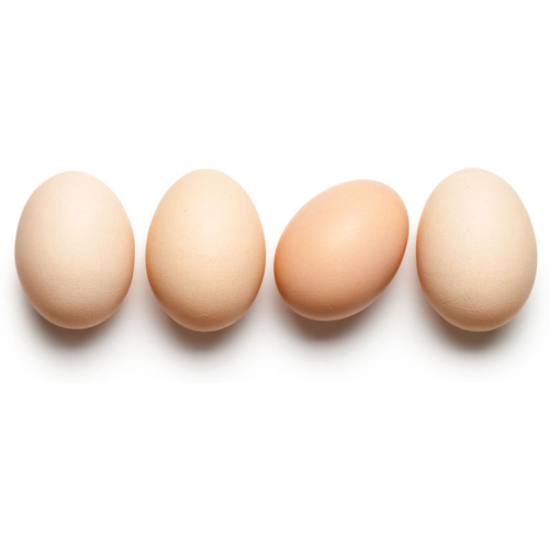  Supplément oeuf beldi   