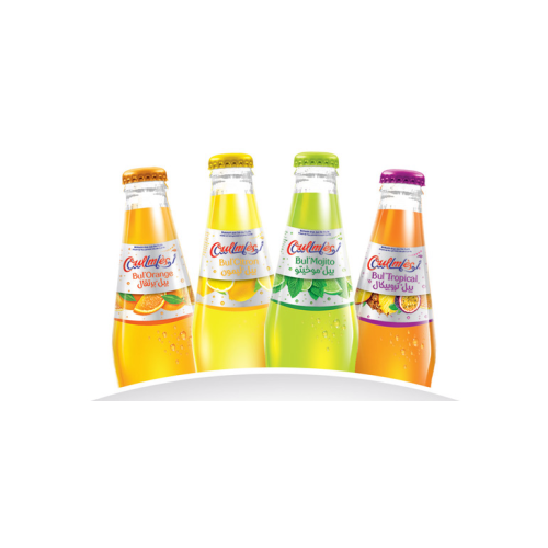  Oulmes aromatisée verre 25cl   